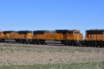 BNSF 8900 Roster shot.